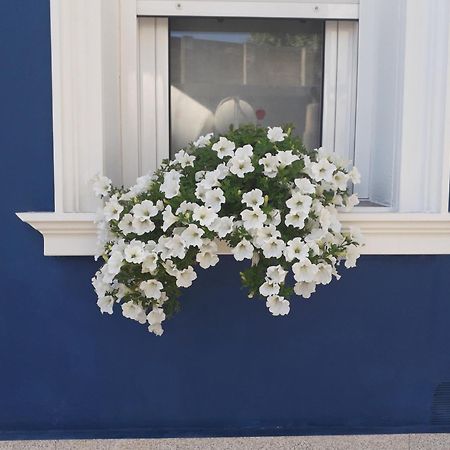 Casa Jardin Villa Monforte De Lemos Luaran gambar